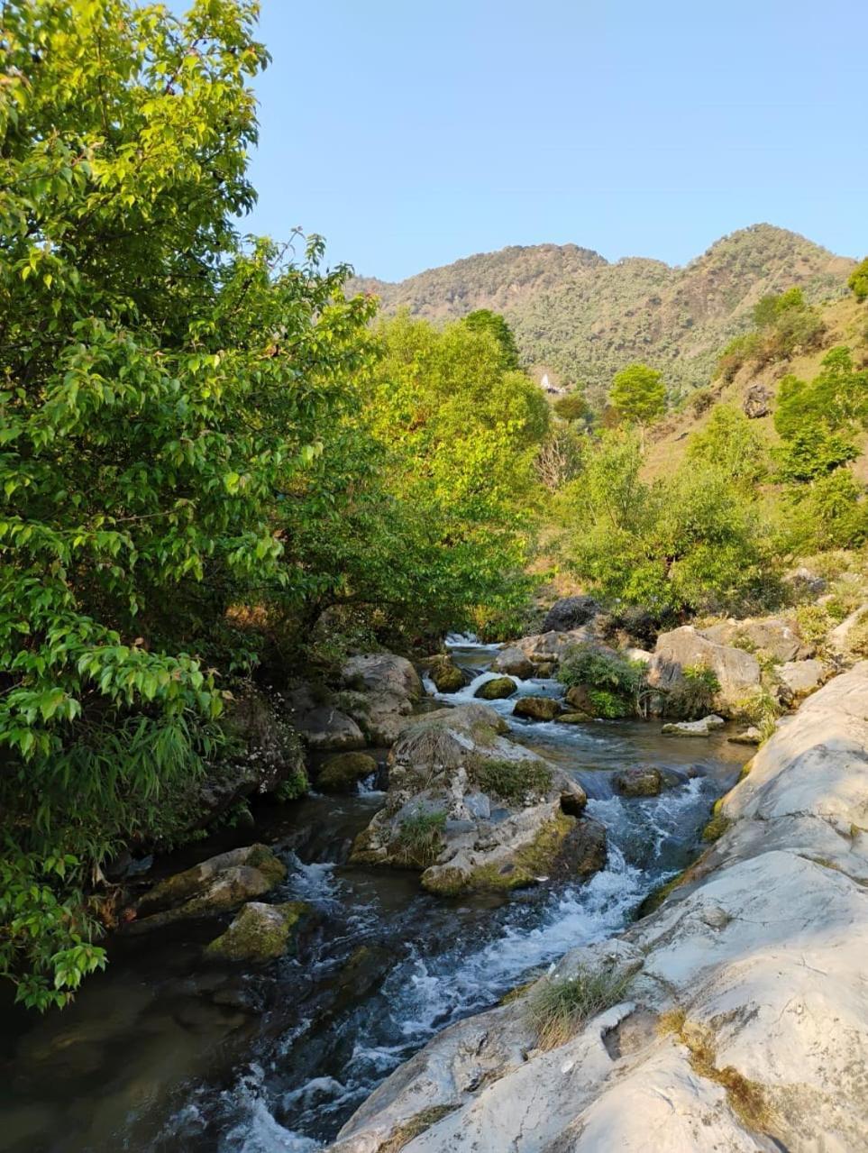 Rivulet Resort & Camping Masuri Exterior foto